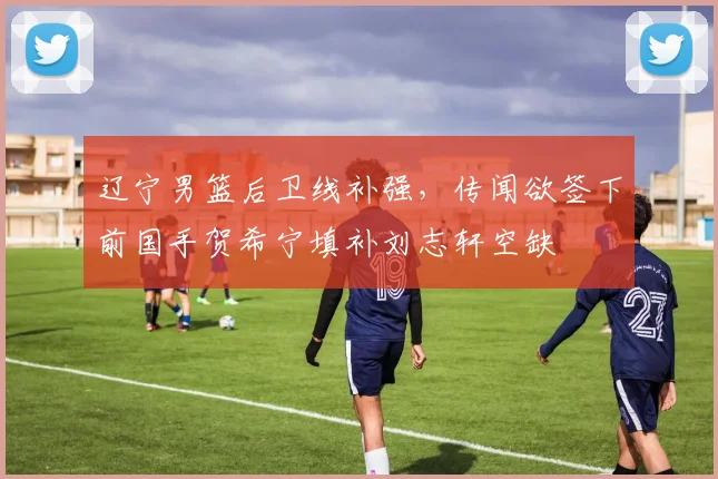 辽宁男篮后卫线补强,传闻欲签下前国手贺希宁填补刘志轩空缺
