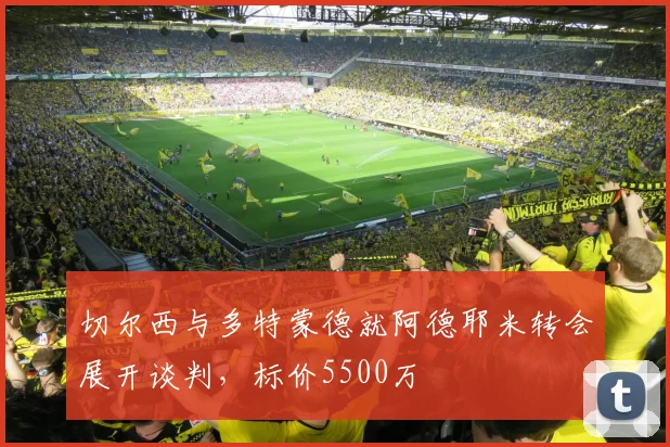 切尔西与多特蒙德就阿德耶米转会展开谈判，标价5500万