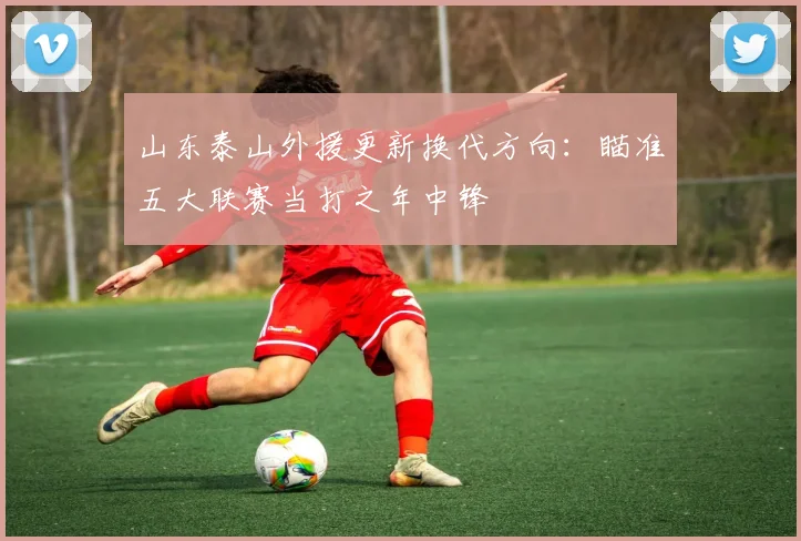 山东泰山外援更新换代方向：瞄准五大联赛当打之年中锋